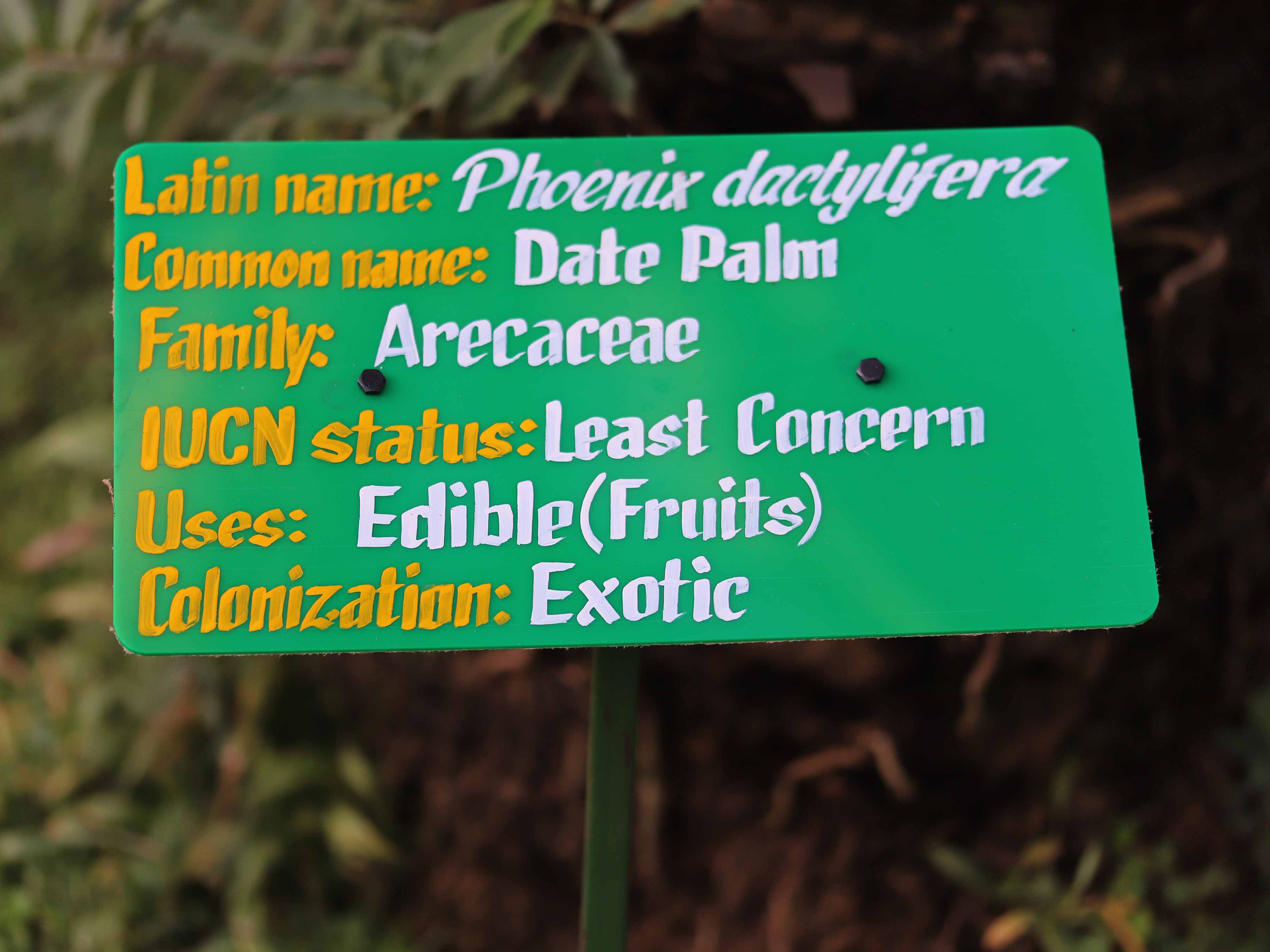Branding & Sign Crafting
