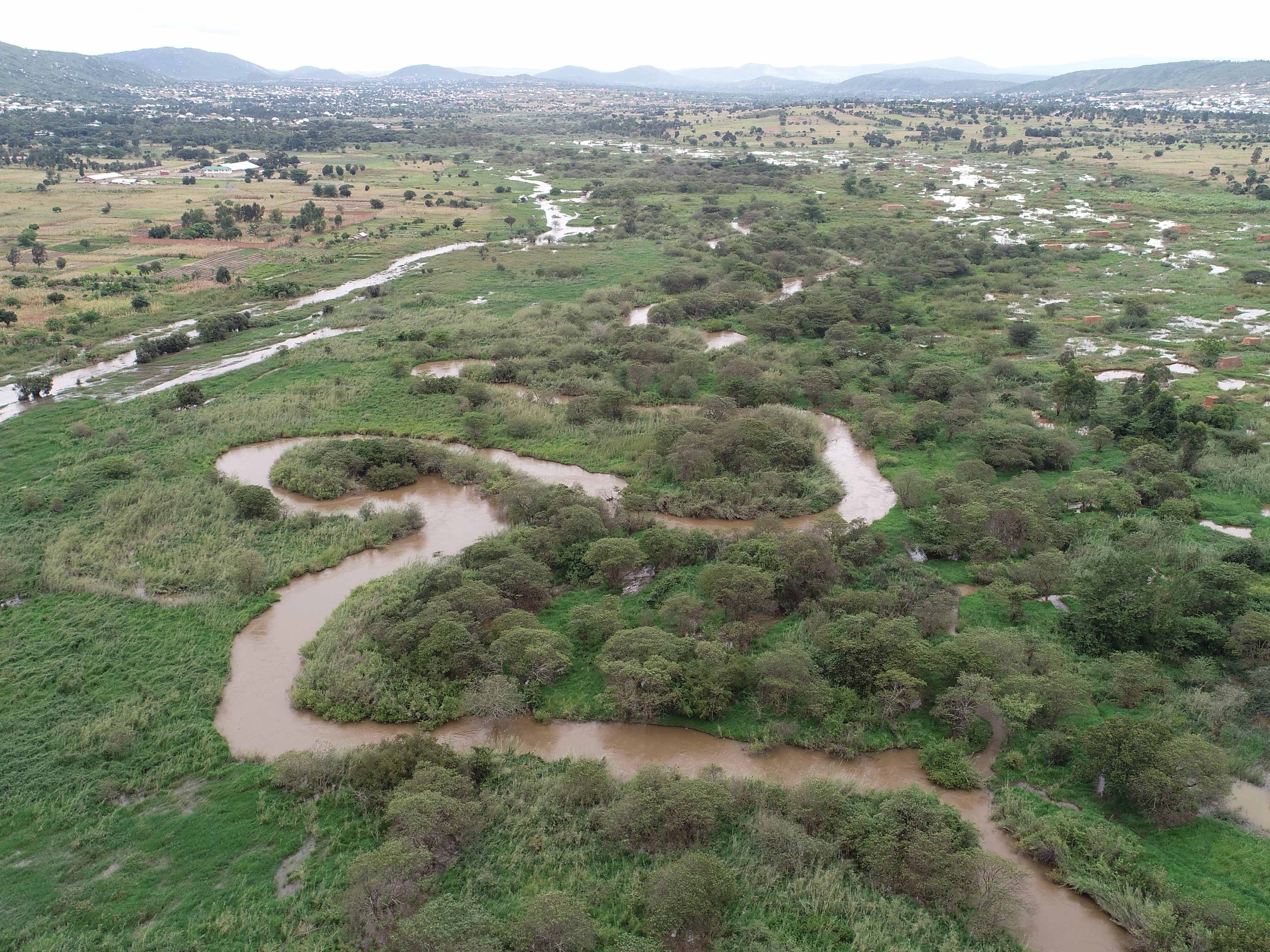 Biodiversity Assessment
